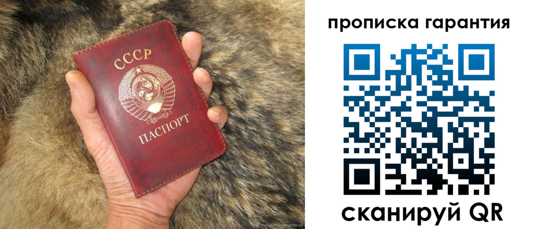 прописка паспорт в Железногорске
